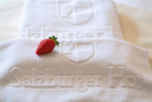 Hotel Salzburger Hof - image 7