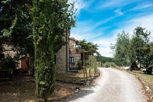 Tenuta La Borriana - image 4