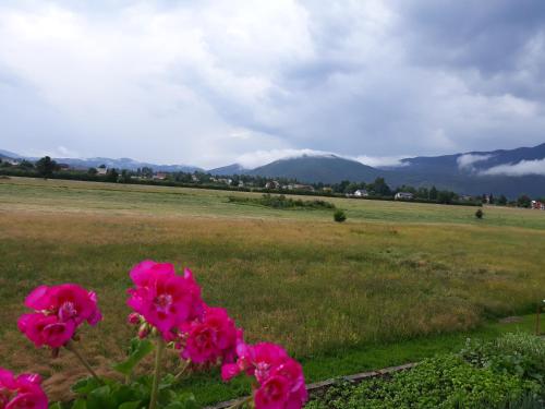 Guest House Vana 4