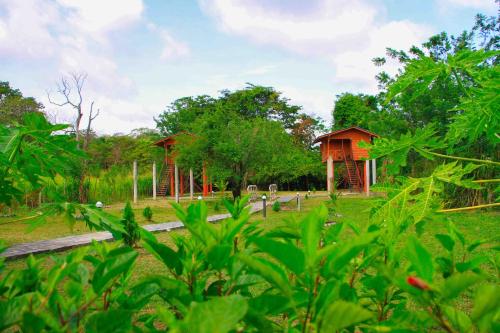 Sigiri Royal Point Tree House Sigiriya