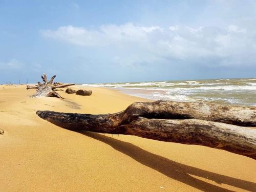 Sun Wind Beach Kalpitiya Kite Resort