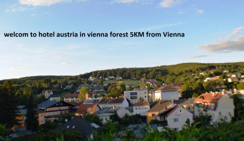 Hotel Austria - image 8