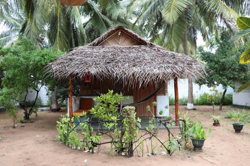 Sun Wind Beach Kalpitiya Kite Resort