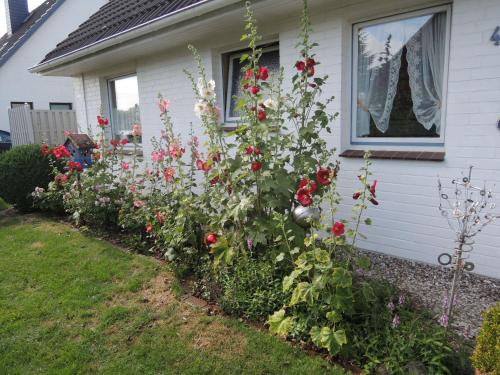 Goden Wind 4, Westerdeichstrich (foto 7)