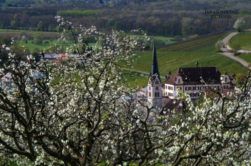 Apartment Schneeburg