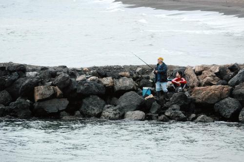 Soling 5 - image 4