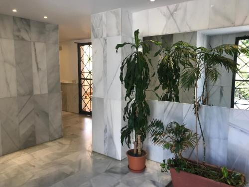 Apartamento Los Nidos (La Carihuela) - main image