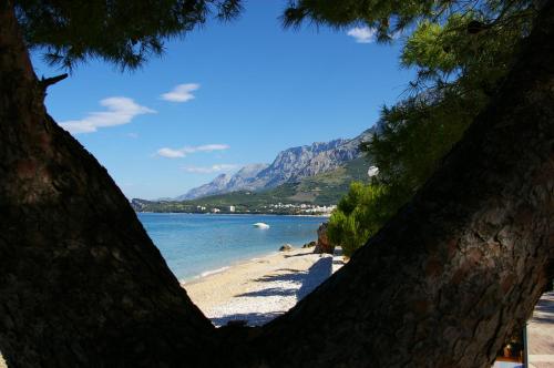 Hotel Villa Andrea - image 13