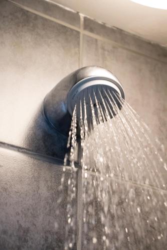 Amsterdam Hostel Uptown - image 7