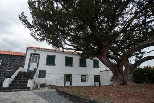 Casa do Bica