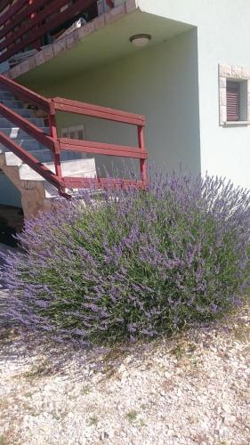  Mea culpa in Karlobag