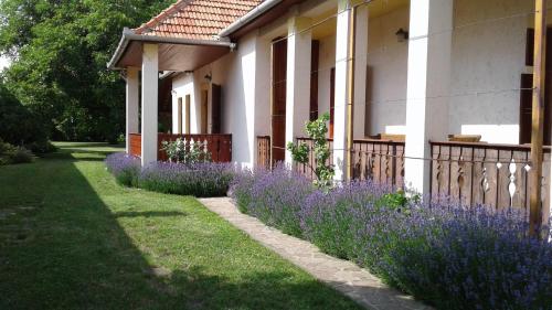Nosztalgia Vendégház - main image