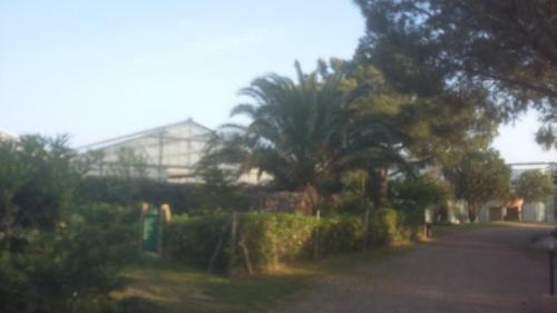 La Contea - main image