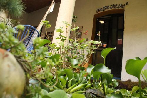 Hostal Luz de Luna Nuyoo