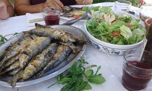 Monte da Cardela Nova