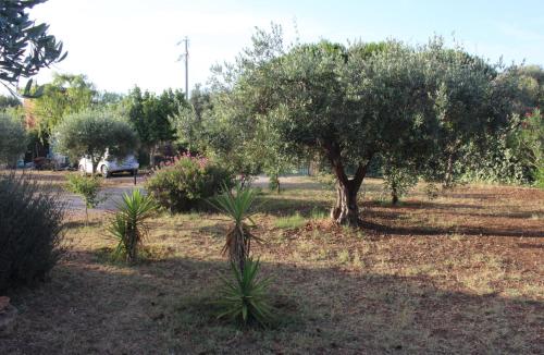 L'Alloro - Vacanza campagna mare