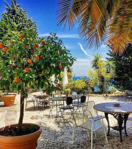 Le due palme Bed & Breakfast