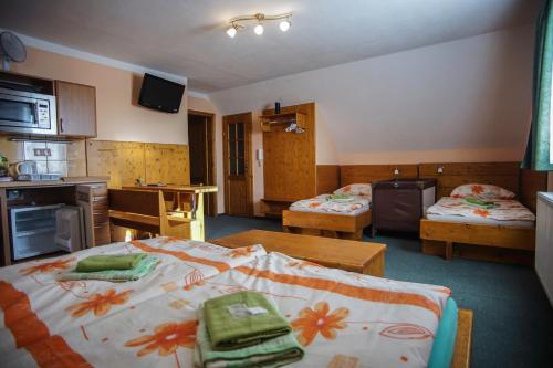 Wellness Penzion Palice - image 8