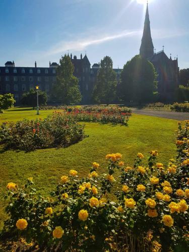 Maynooth Campus Accommodation - image 10