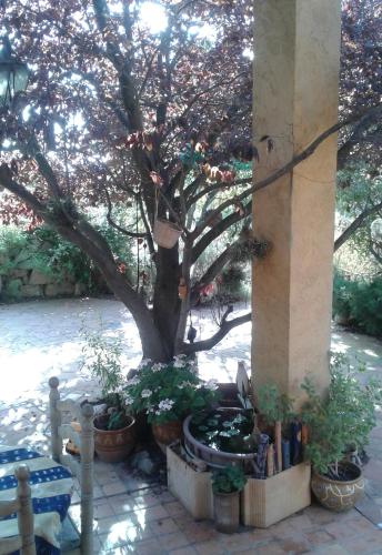 Atelier Pasquer photo 19
