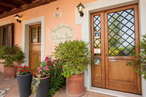 Agriturismo L'Ulivo in Fiore - image 6