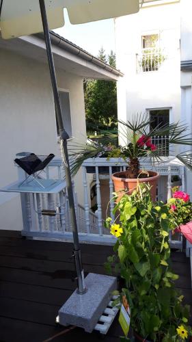 入口, Ferienapartment MOHNBLUME in 艾希瓦爾德