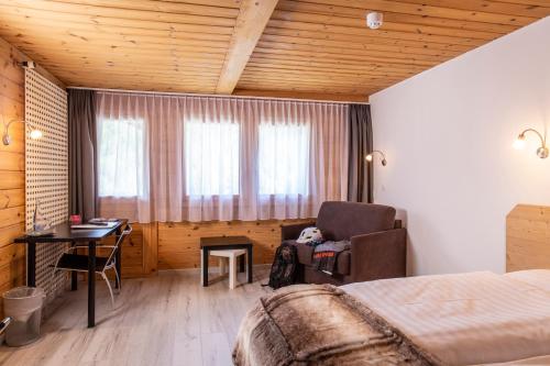 Hôtel Alpina - image 5