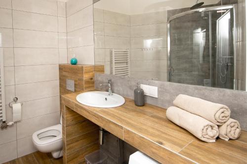 Blue Apartment Old Town Air Condition p4you pl, Cracovie (photo 10)