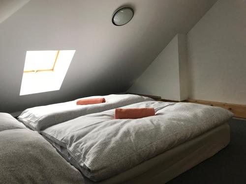 Apartmaji AURORA Ski KRVAVEC