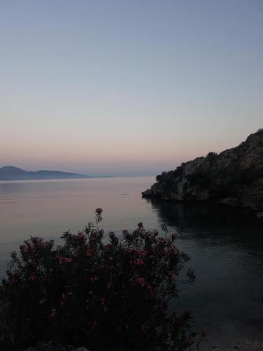 Blue View - image 4