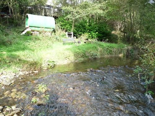 Romany Wagon & Cwtch with your own private 1 acer, Llandysul (fotografie 11)