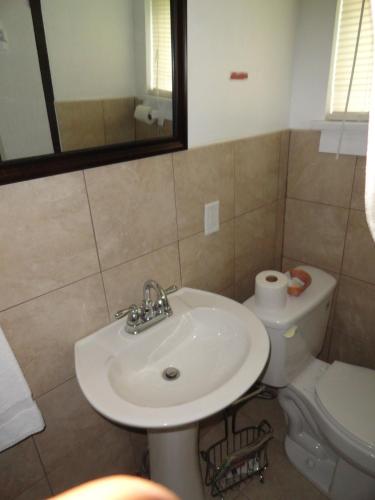 Elm Tree Motel - image 5