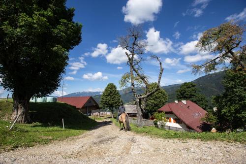 Farmstay&Glamping Visočnik