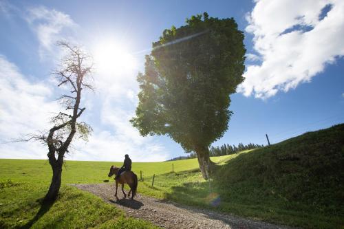 Farmstay&Glamping Visočnik