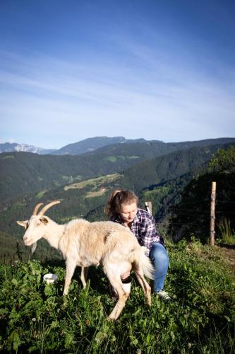 Farmstay&Glamping Visočnik