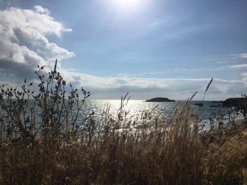 Domaine de la Héchaie - image 13