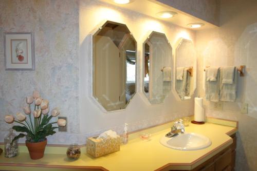 Halcyon Heights B&B/Inn - 화장실