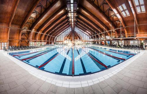 สภาพแวดล้อมโดยรอบ, Arpad nyaralohaz in ซารุด