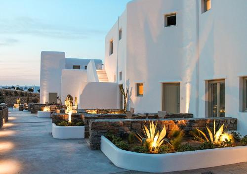 Mykonos Cactus - image 2