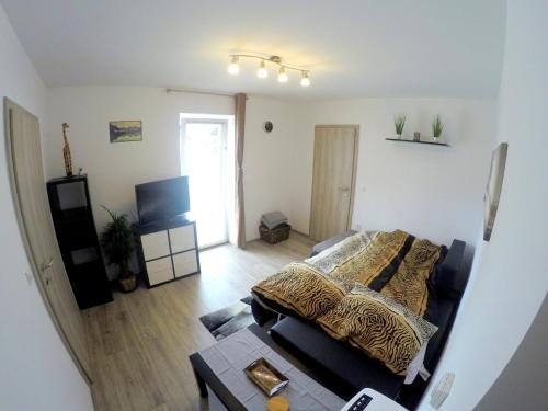 Instalaciones, The Jungle Apartments and Rooms (Vila Džungla) (The Jungle Apartments and Rooms (Vila Dzungla)) in Bled