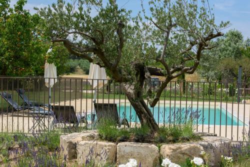 Domaine du Mas Foucray - Hôtel - Les Baux-de-Provence