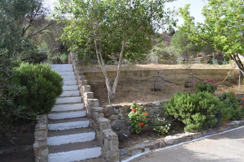  sofia by villa tartaruga in Antimácheia