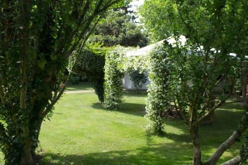  Podere Chiusa Grande, Pension in Campiglia Marittima bei La Sdriscia