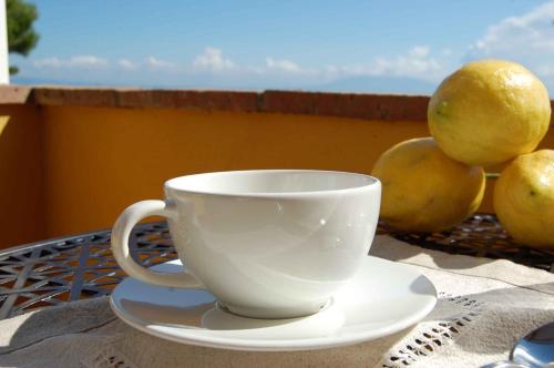 La Terrazza sul Mare