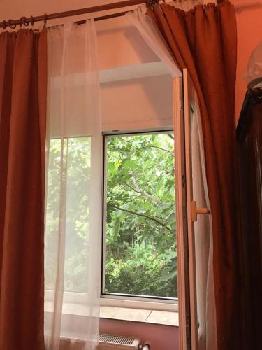 Viorica's Place