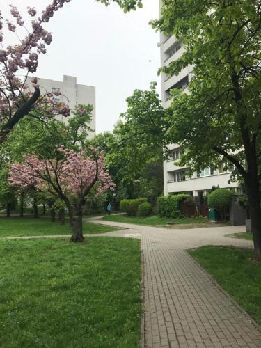Apartament MetroMarymont