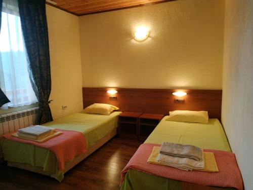 Deluxe Double or Twin Room with Mountain View