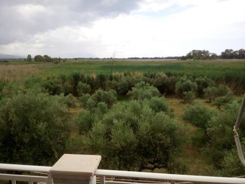  Sideris Apartments in Zakharo