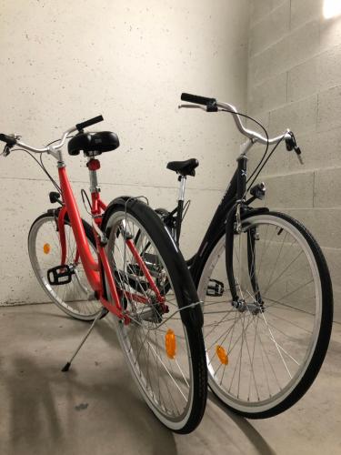 Life Apartment & City Bike - image 2