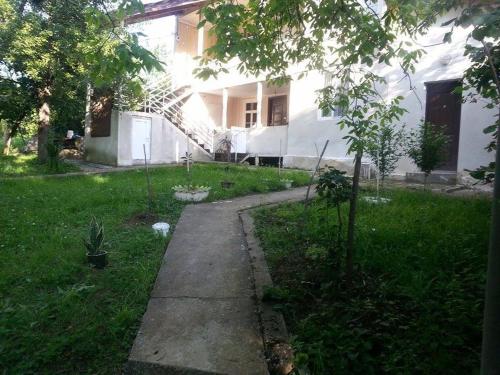 EL SARO